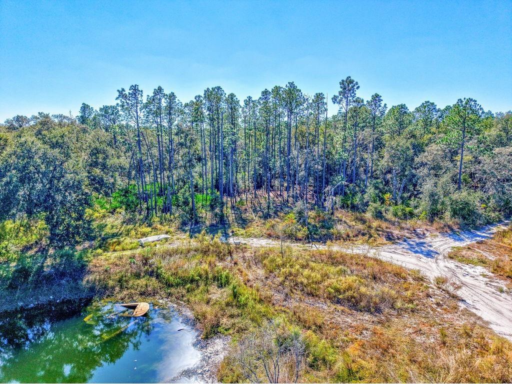 7157 W Contentment Lane Dunnellon FL 34433 TB8443221 image21