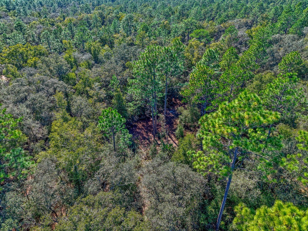 7157 W Contentment Lane Dunnellon FL 34433 TB8443221 image22