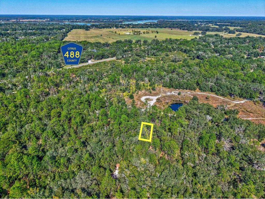 7157 W Contentment Lane Dunnellon FL 34433 TB8443221 image3