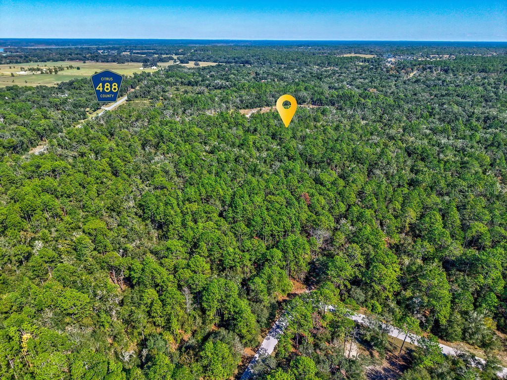 7157 W Contentment Lane Dunnellon FL 34433 TB8443221 image5