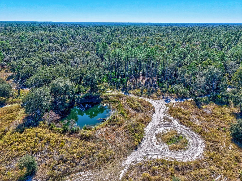 7157 W Contentment Lane Dunnellon FL 34433 TB8443221 image6