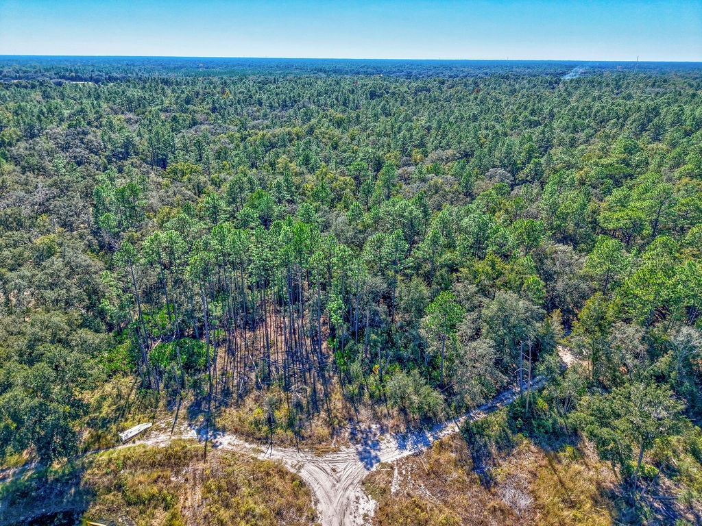 7157 W Contentment Lane Dunnellon FL 34433 TB8443221 image8