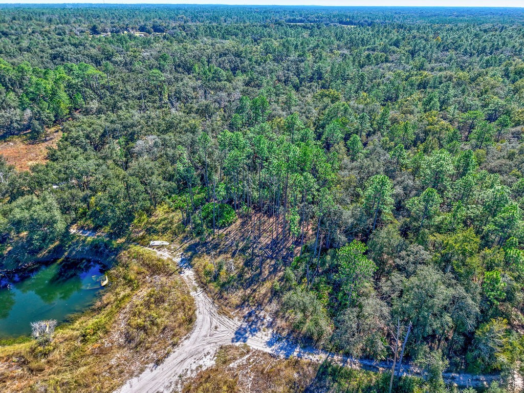 7157 W Contentment Lane Dunnellon FL 34433 TB8443221 image9