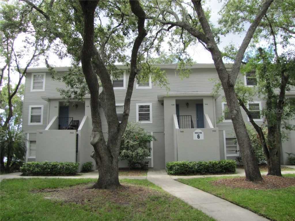 7158 E Bank Drive #7158 Tampa FL 33617 T3449761 image1