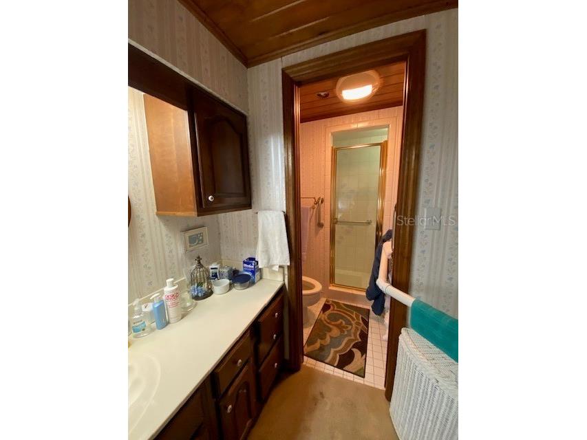 716 Alpine Street Altamonte Springs FL 32701 O6401189 image13