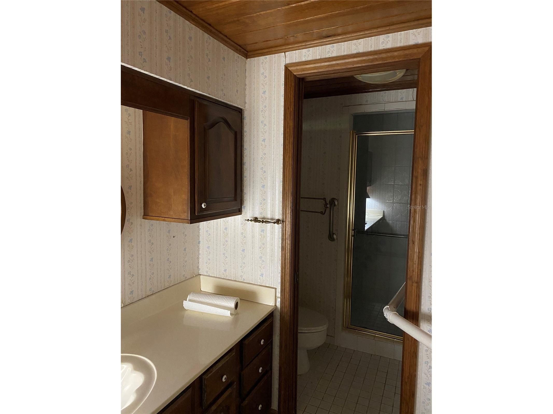 716 Alpine Street Altamonte Springs FL 32701 O6401189 image19