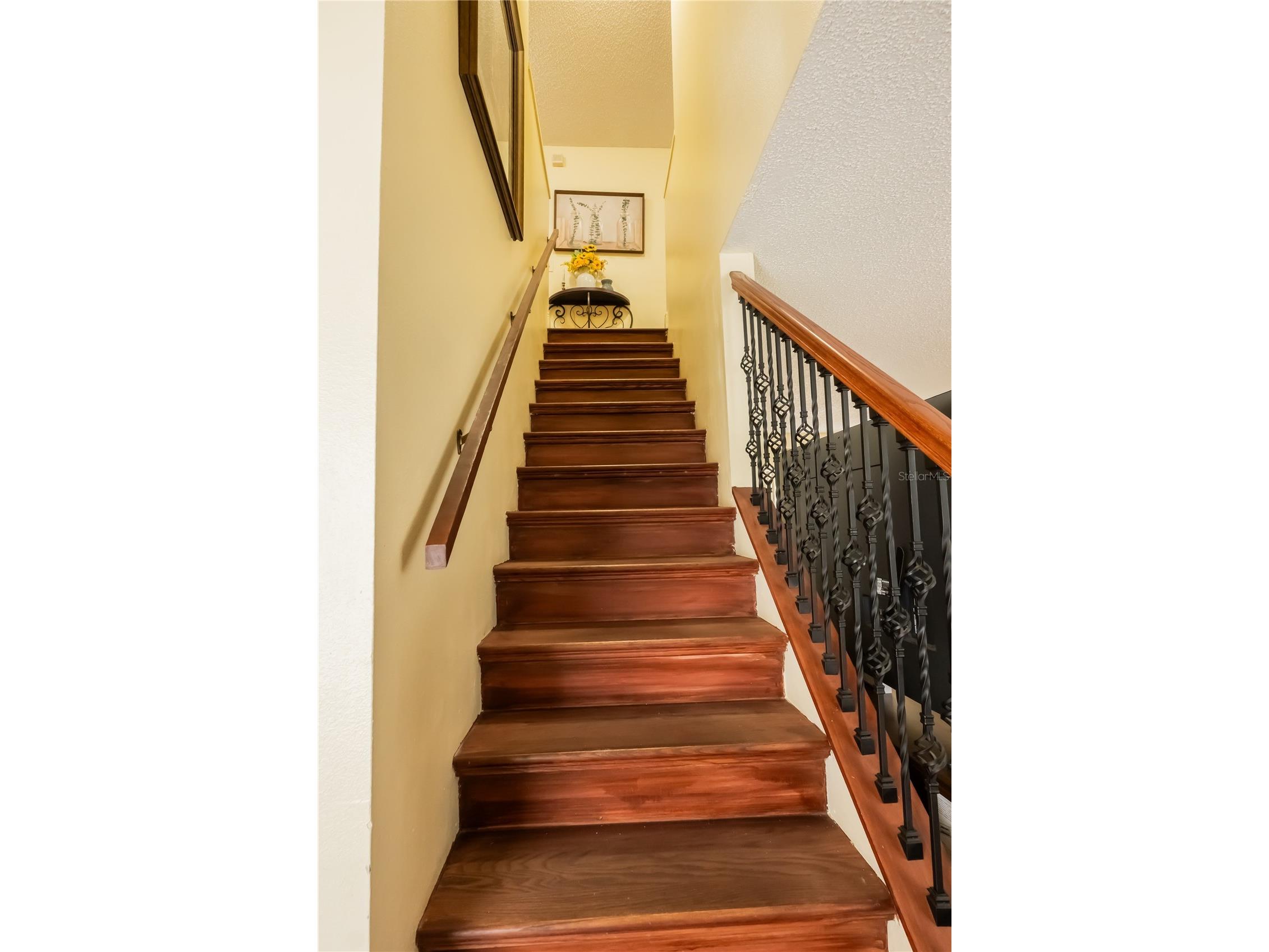 716 Burlwood Street Brandon FL 33511 L4959421 image23