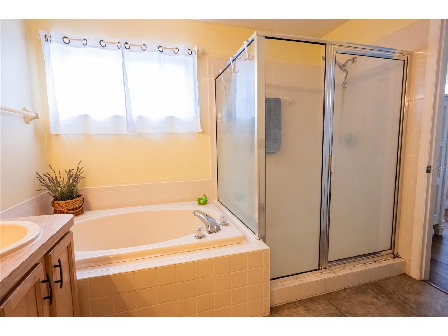 716 Burlwood Street Brandon FL 33511 L4959421 image29