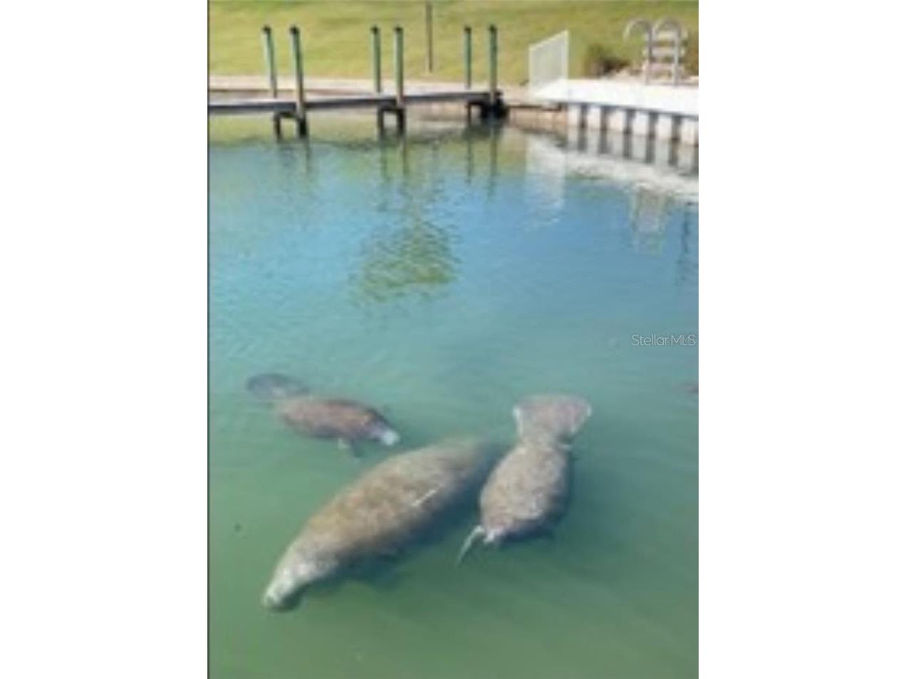 716 Carefree Venice FL 34285 N6143588 image21