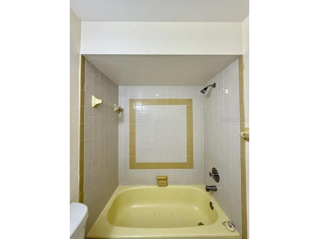 716 Caribou Drive Kissimmee FL 34759 TB8409412 image29