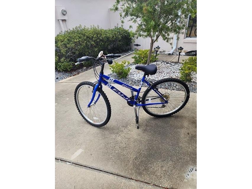 716 Dominguez Drive Lady Lake FL 32159 G5102814 image14