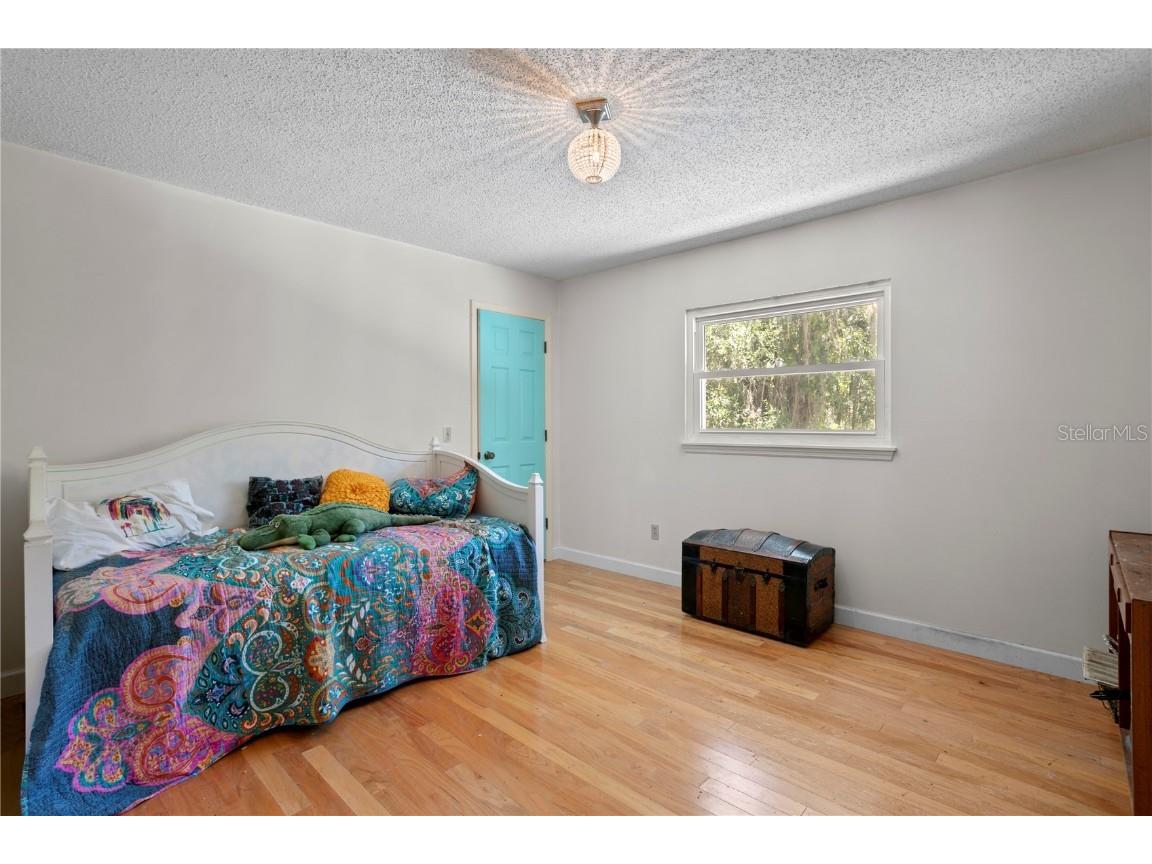 716 Hickory Drive Dunedin FL 34698 TB8409416 image19