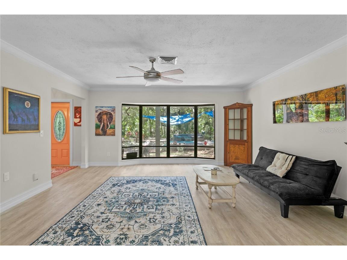 716 Hickory Drive Dunedin FL 34698 TB8409416 image2