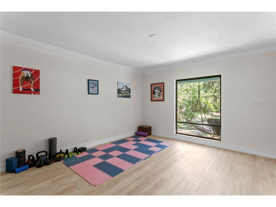 716 Hickory Drive Dunedin FL 34698 TB8409416 image22