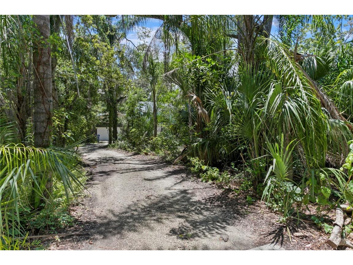 716 Hickory Drive Dunedin FL 34698 TB8409416 image51