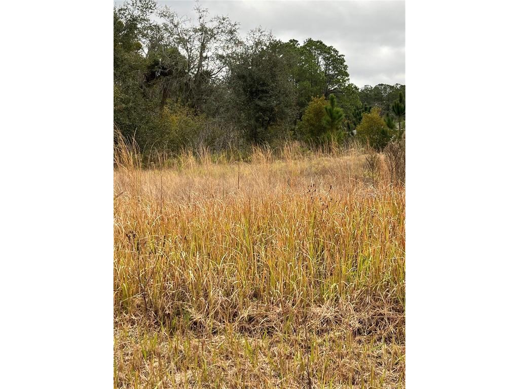 716 Live Oak Loop Crescent City FL 32112 FC297074 image1