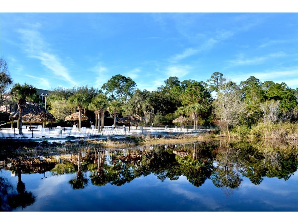 716 Lucaya Loop #B1/U716 Davenport FL 33897 S5086633 image48