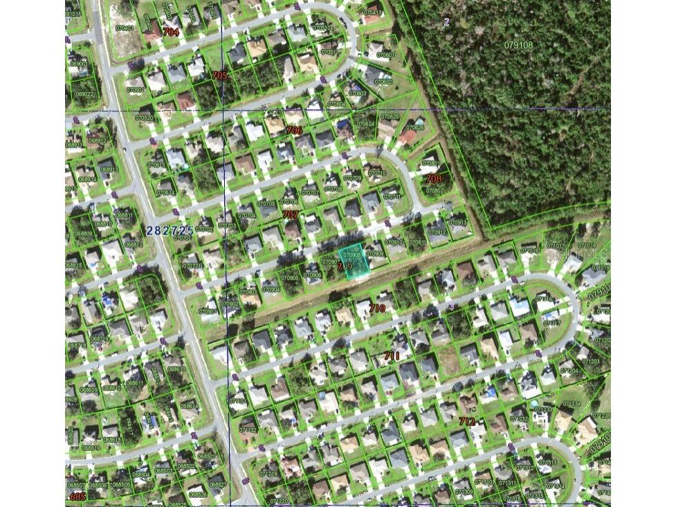 716 Martin Lane Kissimmee FL 34759 S5126241 image6