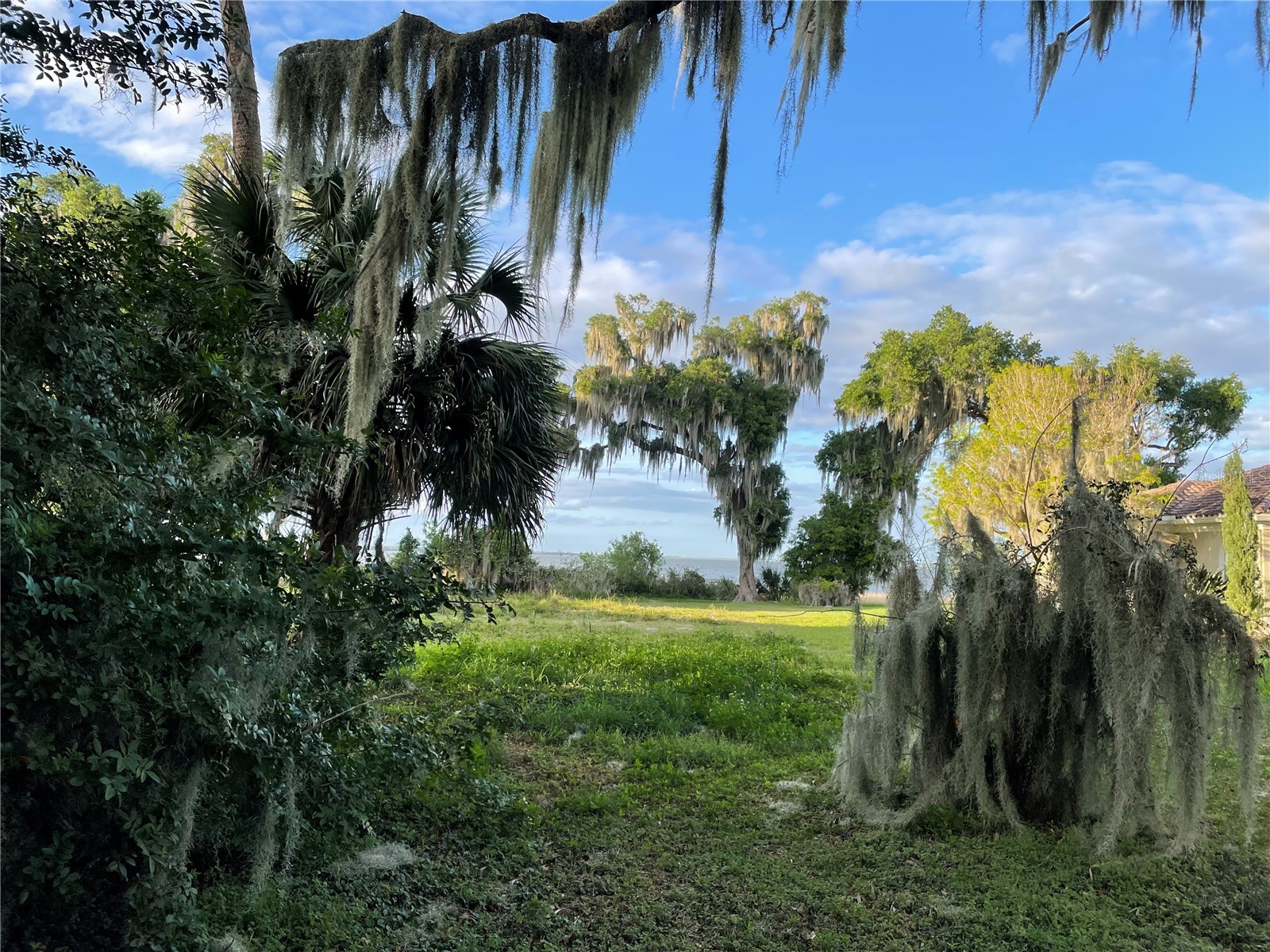 716 Newell Hill Rd Leesburg FL 34748 - LAKE GRIFFIN G5106474 image2