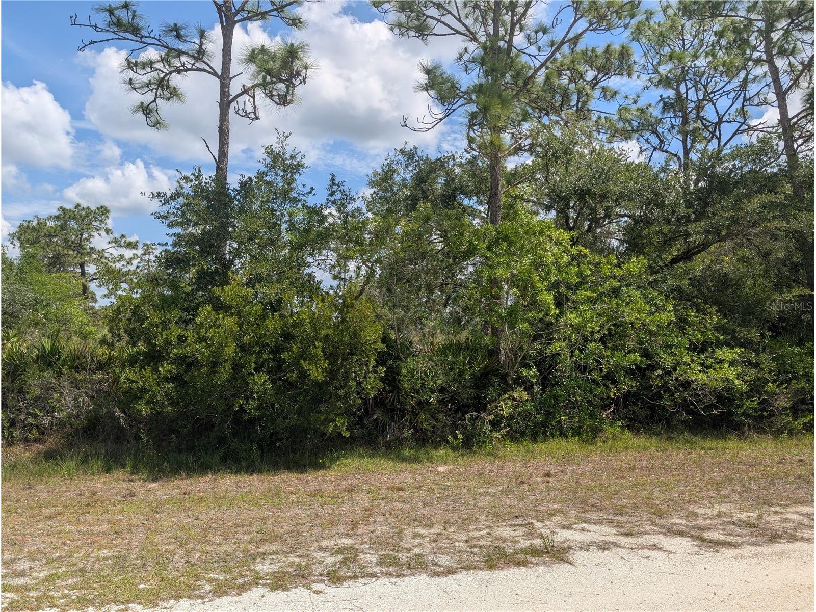 716 Orchid Drive Indian Lake Estates FL 33855 - LAKE WALK-IN-WATER P4938890 image1