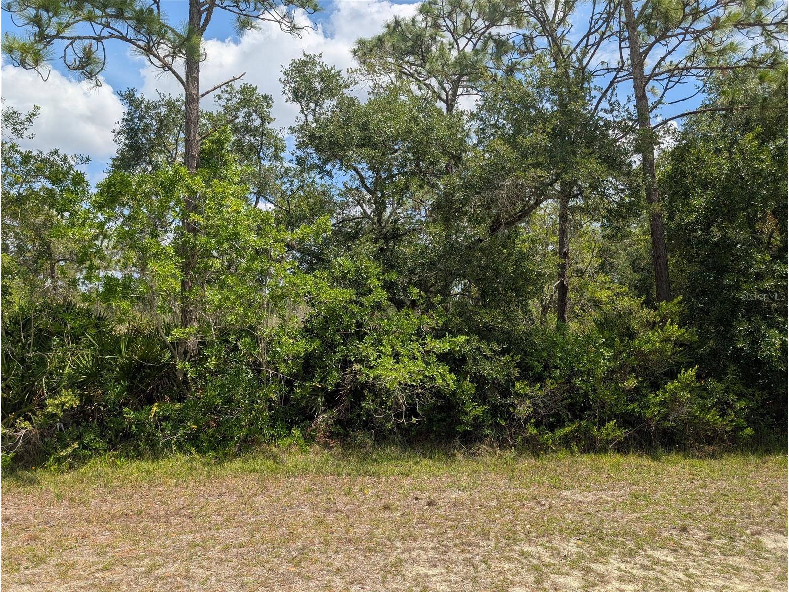 716 Orchid Drive Indian Lake Estates FL 33855 - LAKE WALK-IN-WATER P4938890 image2