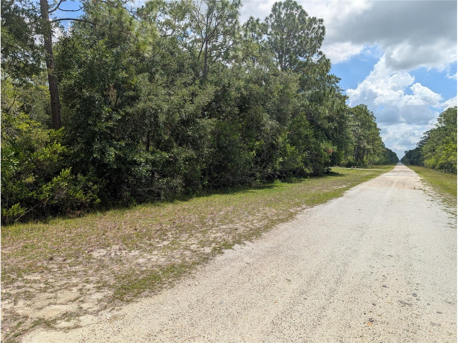 716 Orchid Drive Indian Lake Estates FL 33855 - LAKE WALK-IN-WATER P4938890 image3