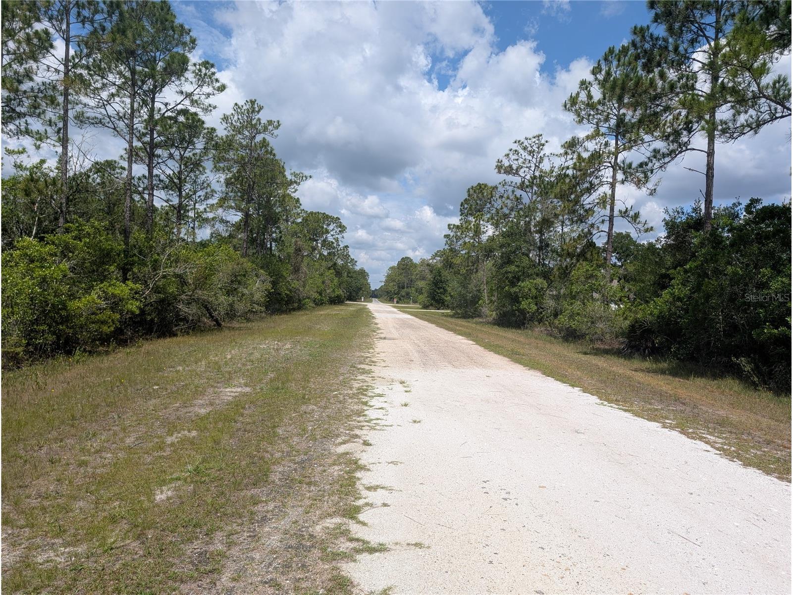 716 Orchid Drive Indian Lake Estates FL 33855 - LAKE WALK-IN-WATER P4938890 image4