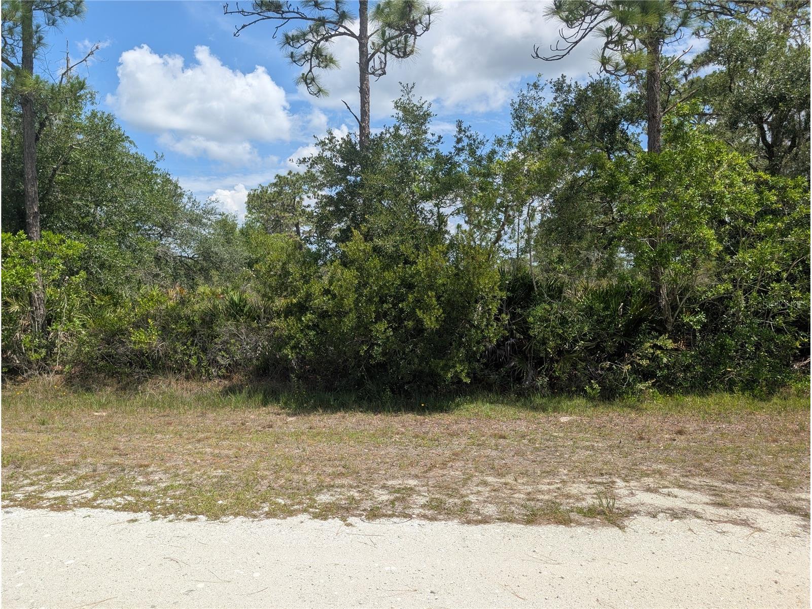 716 Orchid Drive Indian Lake Estates FL 33855 - LAKE WALK-IN-WATER P4938890 image5