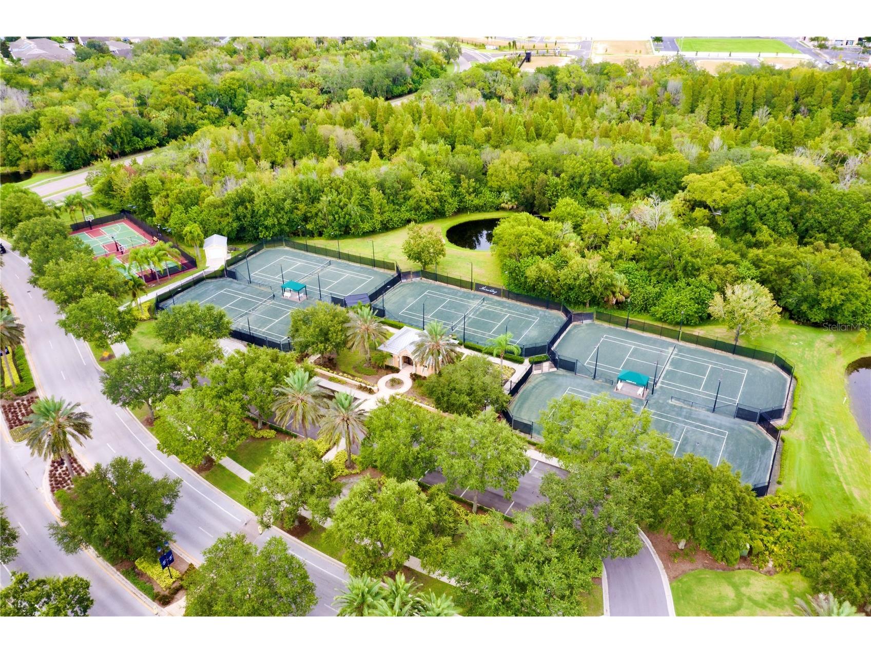 716 Pinckney Drive Apollo Beach FL 33572 TB8488256 image66