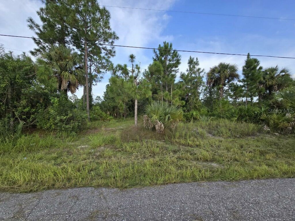 716 Willard Ave Lehigh Acres FL 33972 GC524946 image1