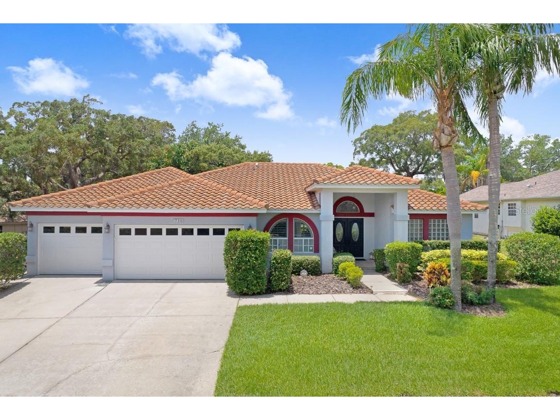 716 Woodmont Drive Tarpon Springs FL 34689 U8203171 image1