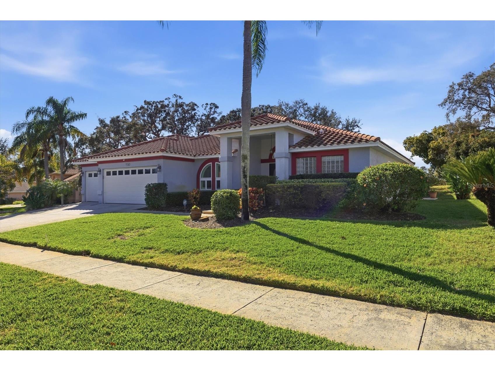 716 Woodmont Drive Tarpon Springs FL 34689 TB8467685 image1