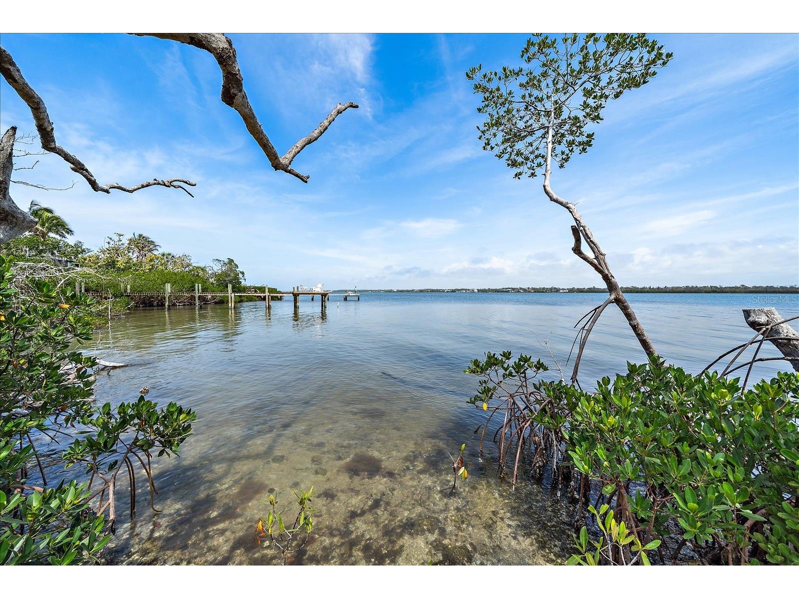 7160 Manasota Key Road Englewood FL 34223 - GULF OF AMERICA A4685520 image32