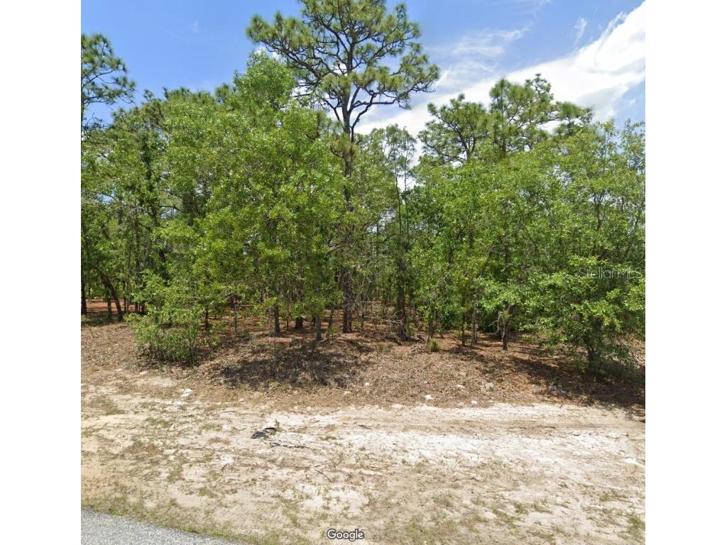 7160 N Ireland Drive Citrus Springs FL 34434 OM699199 image1