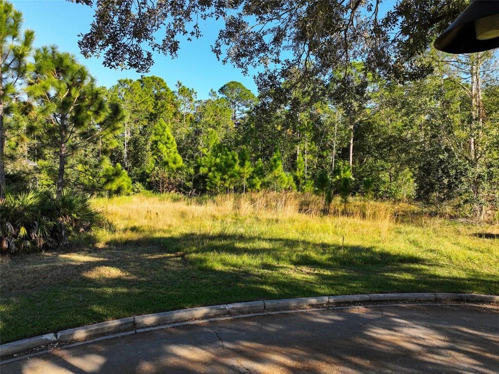 7161 Oak Glen Trl Harmony FL 34773 - CAT LAKE & BUCK LAKE S5115858 image1