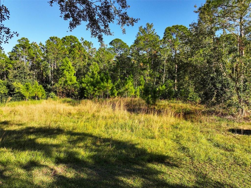 7161 Oak Glen Trl Harmony FL 34773 - CAT LAKE & BUCK LAKE S5115858 image3