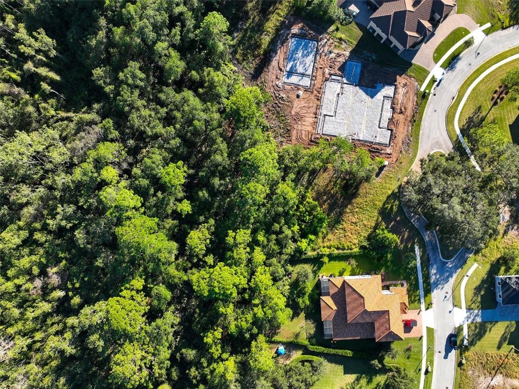 7161 Oak Glen Trl Harmony FL 34773 - CAT LAKE & BUCK LAKE S5115858 image6