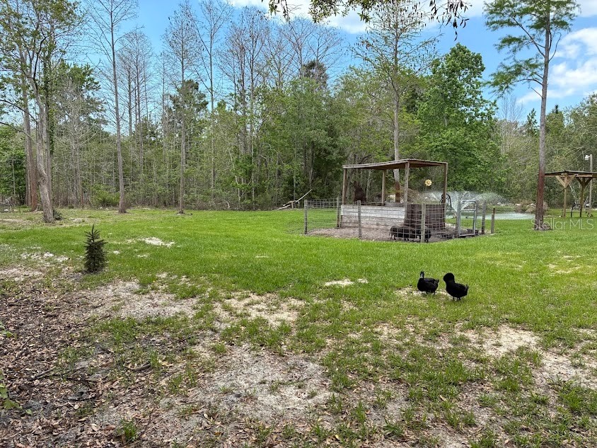 7161 Schering Street Weeki Wachee FL 34613 W7884339 image32