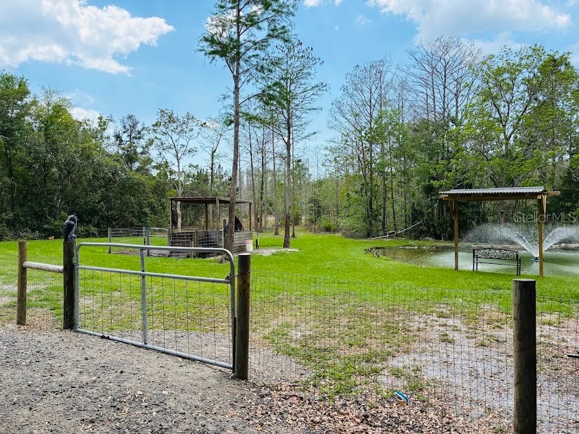 7161 Schering Street Weeki Wachee FL 34613 W7884339 image33