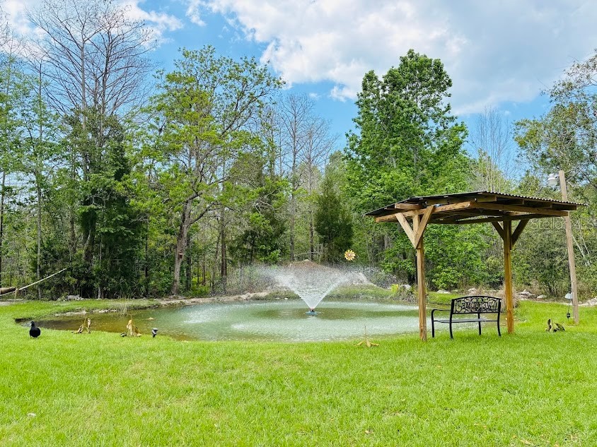 7161 Schering Street Weeki Wachee FL 34613 W7884339 image36