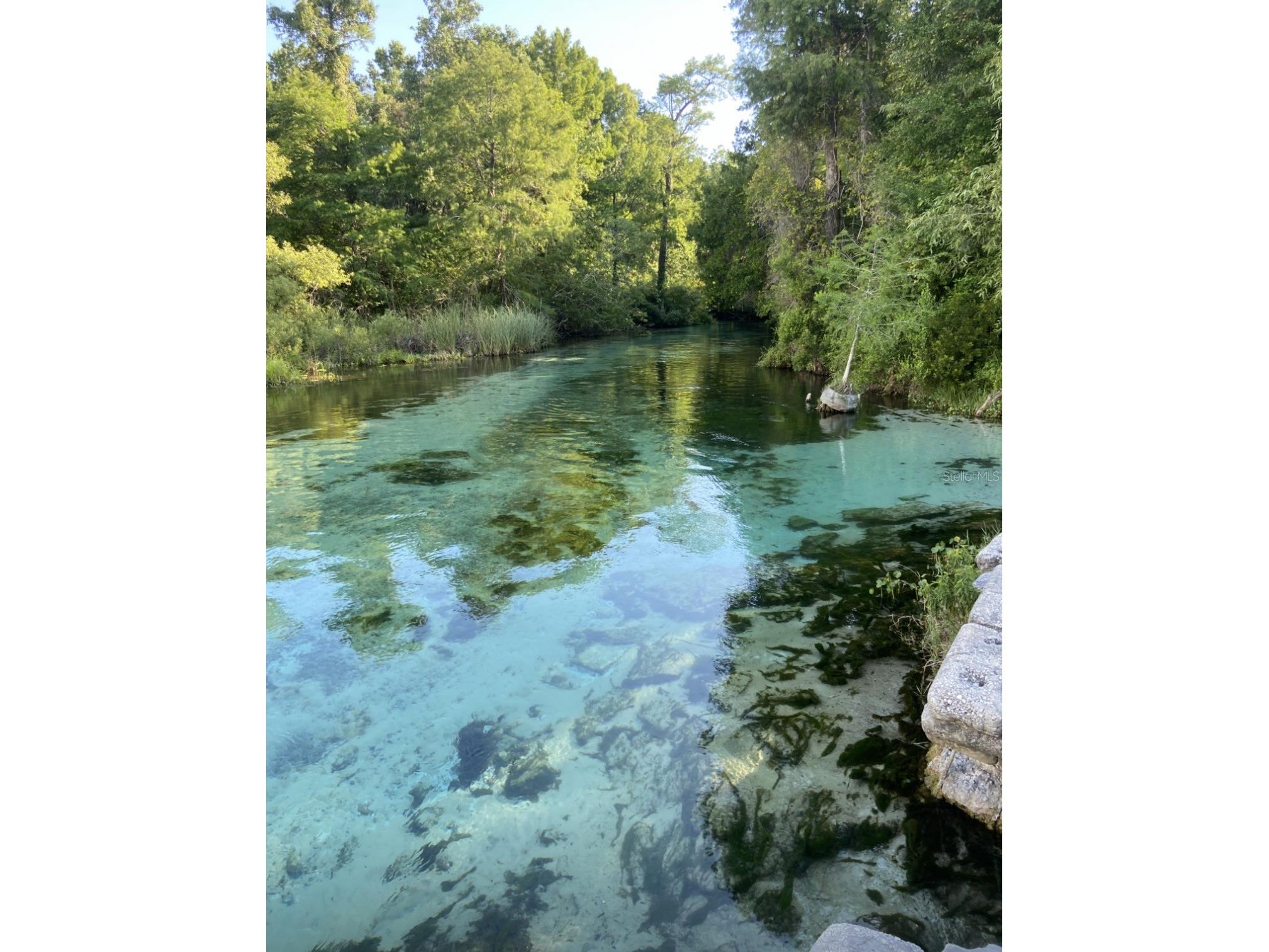 7161 Schering Street Weeki Wachee FL 34613 W7884339 image46