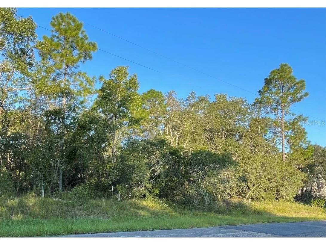 7162 N Maltese Drive Citrus Springs FL 34433 GC515889 image1