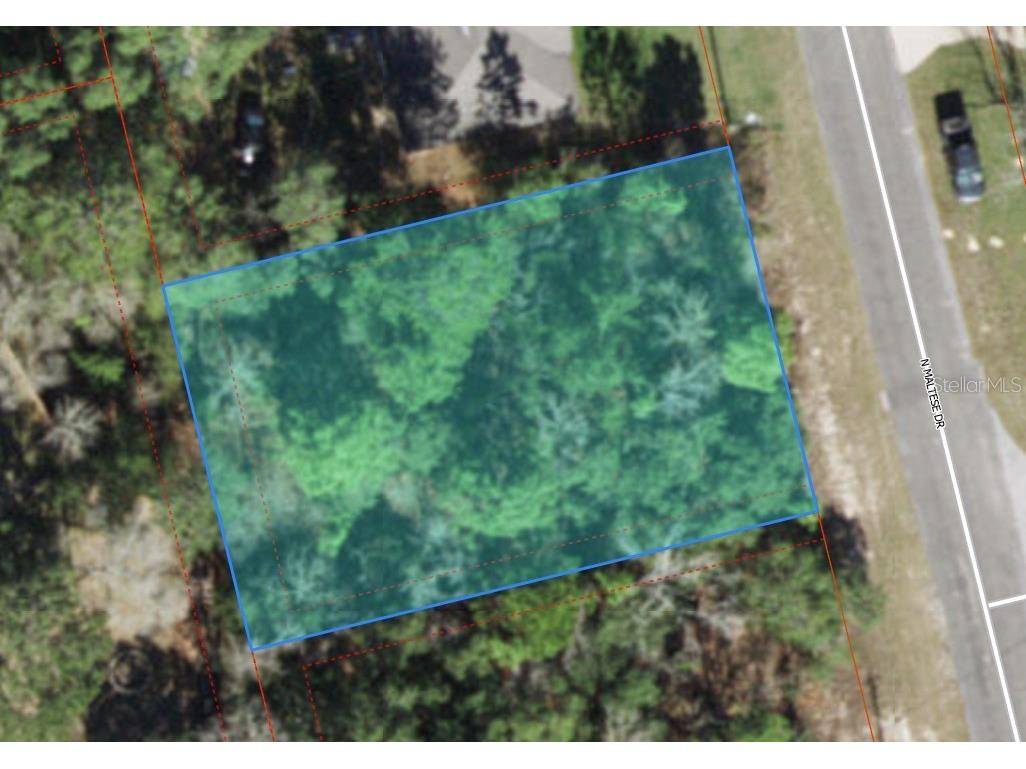 7162 N Maltese Drive Citrus Springs FL 34433 O6160188 image1