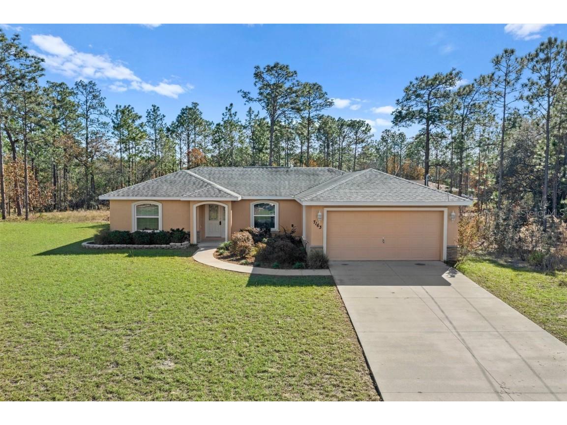 7163 N Hemmingway Drive Citrus Springs FL 34434 W7860702 image1