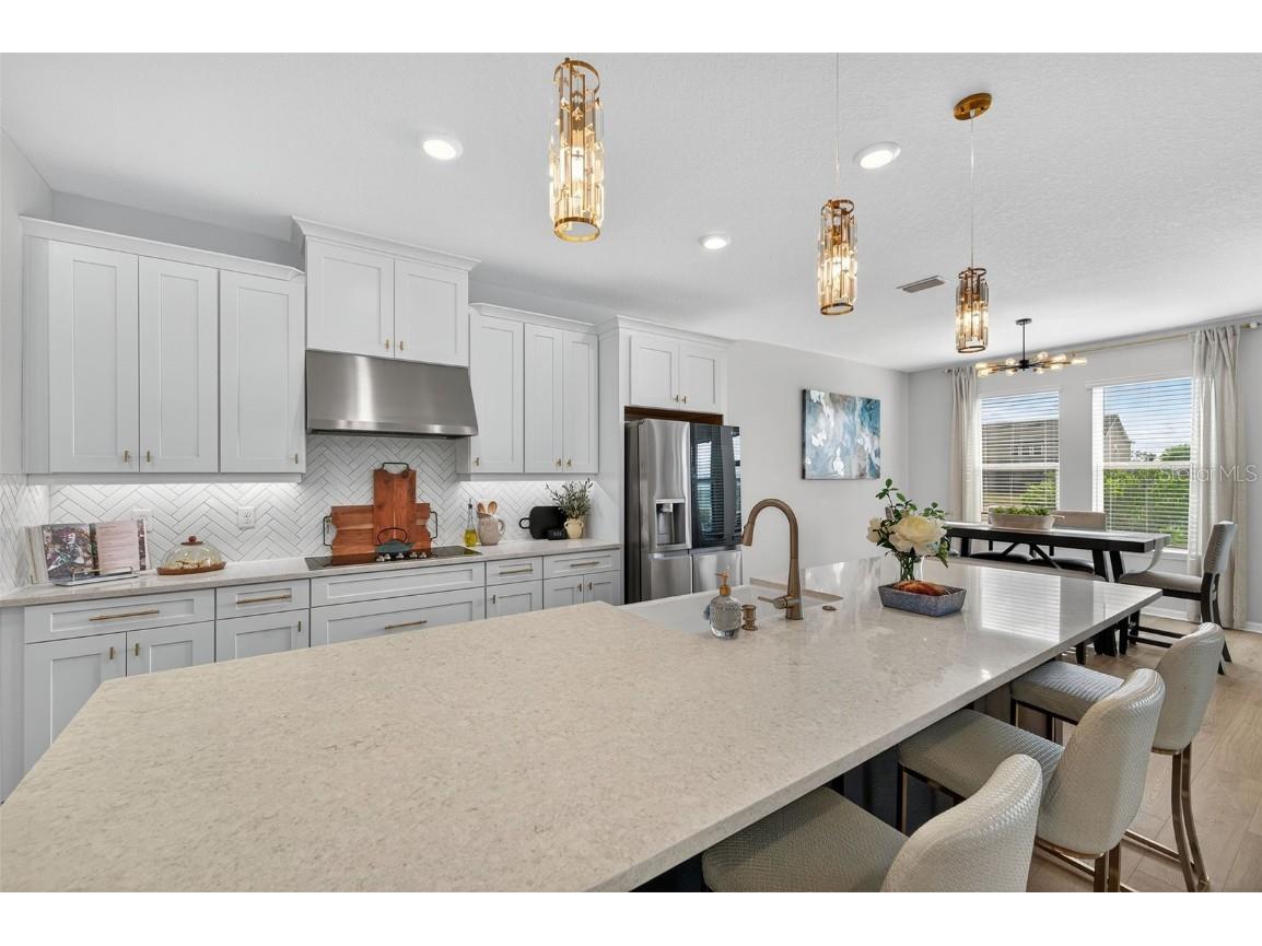 7163 Talamore Drive Wesley Chapel FL 33545 TB8443544 image18