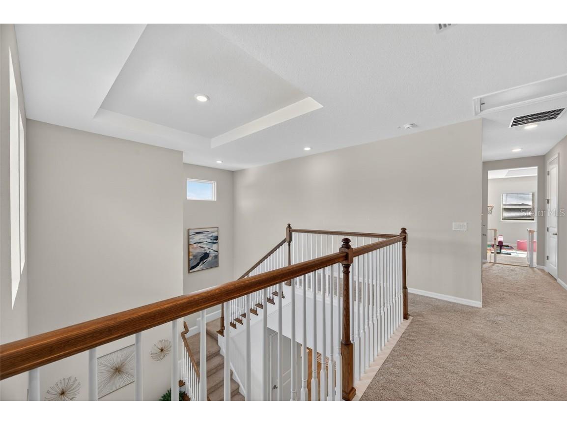 7163 Talamore Drive Wesley Chapel FL 33545 TB8443544 image34