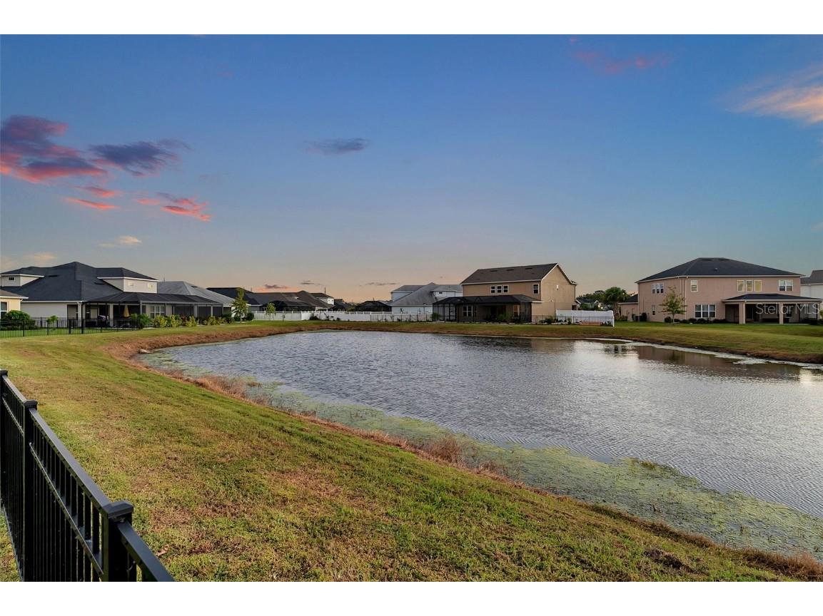 7163 Talamore Drive Wesley Chapel FL 33545 TB8443544 image67