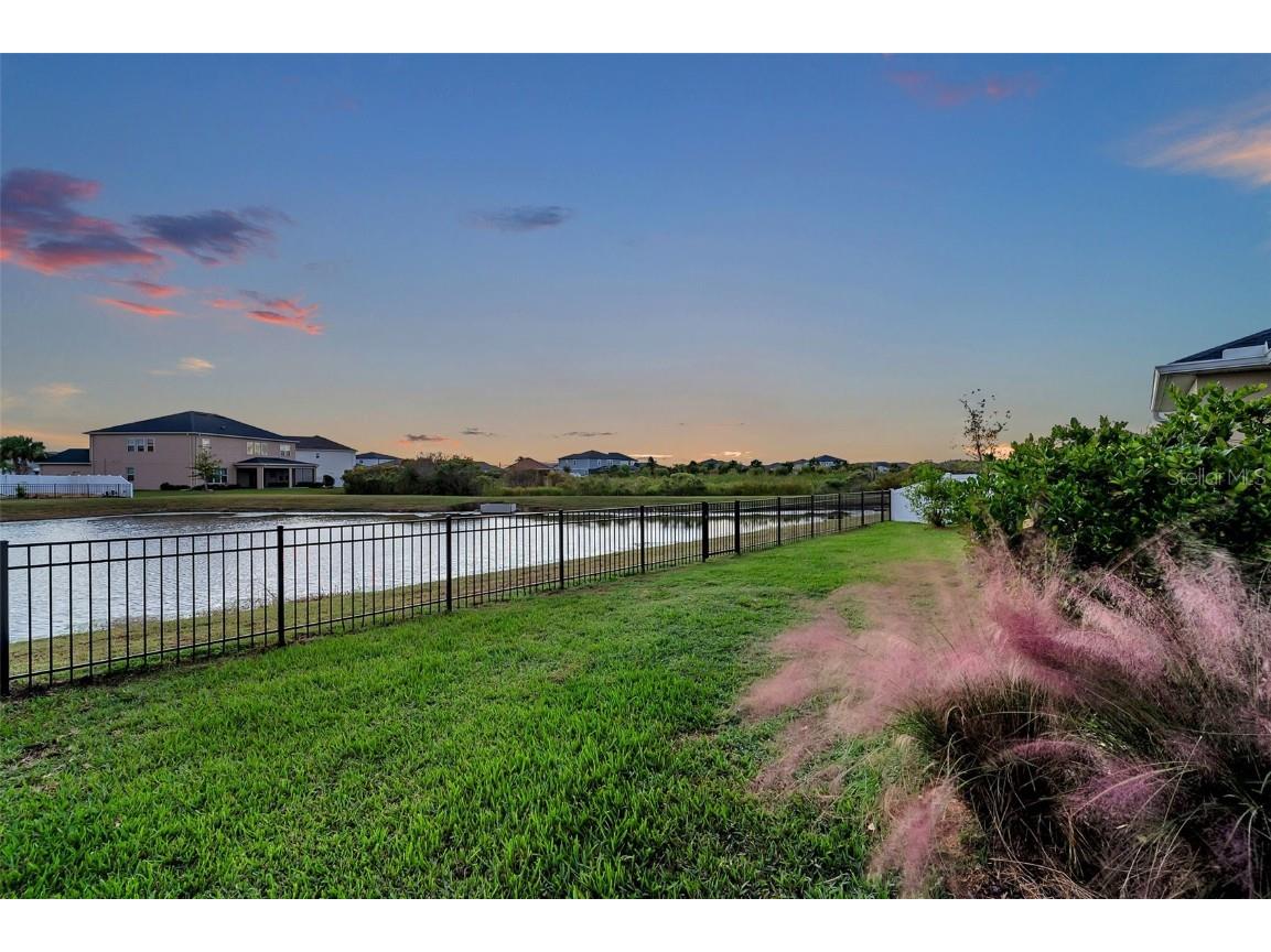 7163 Talamore Drive Wesley Chapel FL 33545 TB8443544 image69