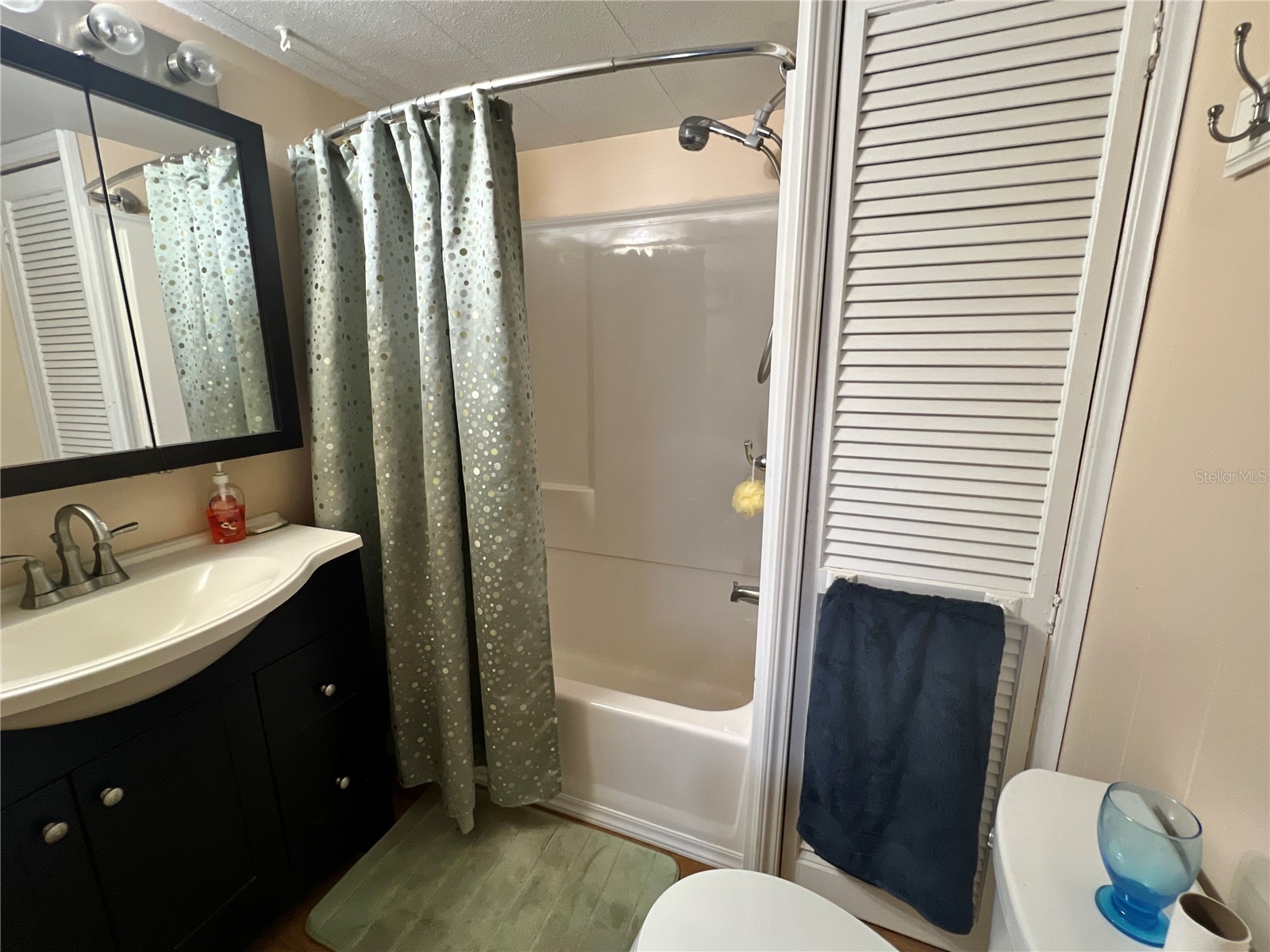 7164 Mount Georgetown Drive NE #553 Saint Petersburg FL 33702 - TAMPA BAY TB8322645 image7