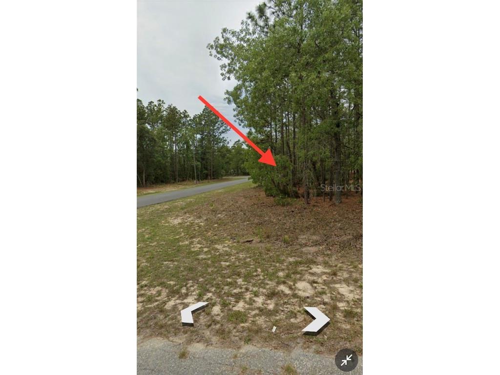 7164 N Dustin Terrace Citrus Springs FL 34434 D6133409 image1